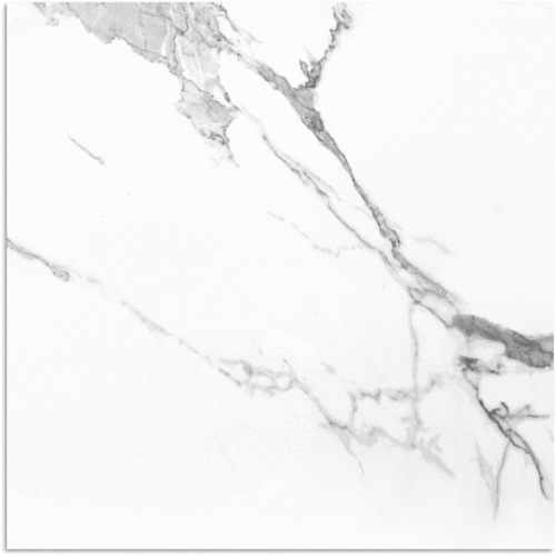 Carrara X Gloss Tile 600x600