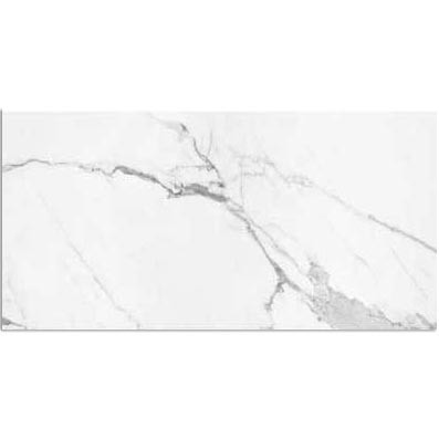 Carrara X Gloss Tile 300x600