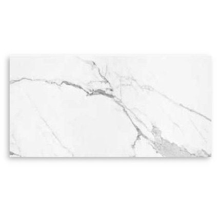 Carrara X Gloss Tile 600x1200