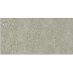 Trend Light Grey Matt Tile 300x600