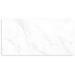 Campania Carrara Gloss Wall Tile 300x600