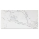 dShelby Carrara Wall Tile 300x600