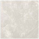 Varsity Dust Matt Tile 450x450