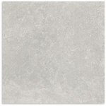 Essential Stone Grey Matt Tile 450x450