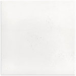 Kiewarra White Matt Tile 450x450