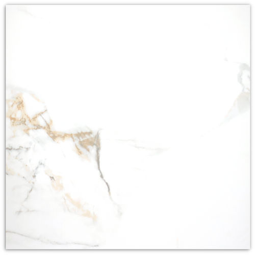 Calacutta Oro Polished Tile 600x600