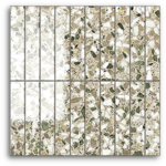 Terrina Olive Dream Finger (25x150) Wall Tile Gloss