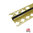 Brass Expansion Trim 22mm x 3m - 6mm Polyurethane (Black)