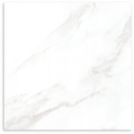Carrara White Gloss Tile 300x300