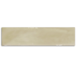 Pasha Earth Gloss Wall Tile 75x300