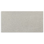 Moonstone Pumice Matt Tile 300x600