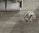 Amazon Light Grey Matt Tile 200x1200