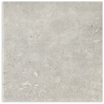 Fossil Stone Pebble Matt Tile 450x450