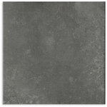 Fossil Stone Coal Matt P2/P4 Tile 450x450