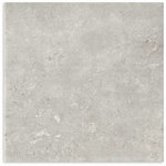 Fossil Stone Pebble Matt P2/P4 Tile 450x450