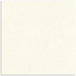 Triana Bone Gloss Floor Tile 300x300