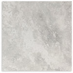 Timeless Silver 2.0 Matt Tile 600x600