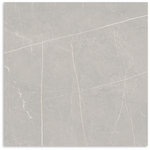 Moke Grey External Tile 450x450