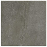 Astra Charcoal Matt Tile 450x450