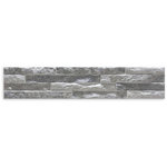 Avaris Perla Silver Matt Wall Tile 100x500