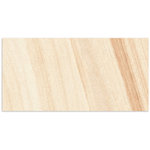 Hawkesbury Sandstone External Tile 300x600