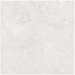 French Stone Bone Smooth Matt Tile 600x600