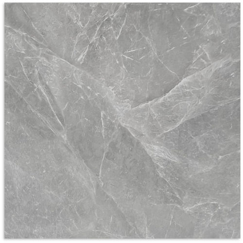 Kitty Grey Polished Tile 600x600