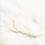 Calacatta Vagli Polished Tile 600x600