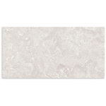 Armani Opal Gris Polished Tile 600x1200