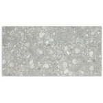 Vision Light Grey Matt Tile 300x600