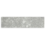 Vision Light Grey Matt Tile 75x300