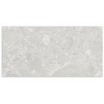 Studio Terrazzo Grey Matt Tile 300x600