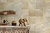 Brume Sand Bone Satin Wall Tile 130x130