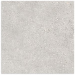 Terramix Silver Matt Tile 600x600