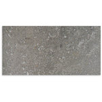 Olympia Charcoal Matt Tile 300x600