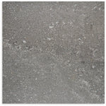 Olympia Charcoal External Tile 450x450