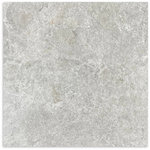 Antalya Silver Matt P2/P4 Tile 600x600