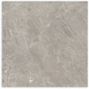 Mystery Taupe Matt Tile 600x600