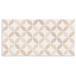 Folio Century Cookie Dough (Gloss) Wall 300x600