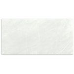 Astra Dust Gloss Wall Tile 300x600
