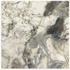 Elysium Polished Tile 600x600