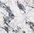 Elysium Polished Tile 600x600