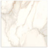 Nuovi Marmi Calacutta Gold Matt 600x600