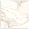 Nuovi Marmi Calacutta Gold Polished 600x600