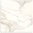 Nuovi Marmi Calacutta Gold Polished 600x600