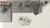 Eliza White Matt Floor Tile 600x600