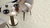 Eliza Beige Matt Floor Tile 600x600