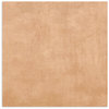 Terracotta Earth Tile 600x600 SMOOTH GRIP