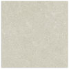 Mystone Berici Grigio Naturale 600x600
