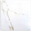 Volpine Beige Polished Tile 600x600